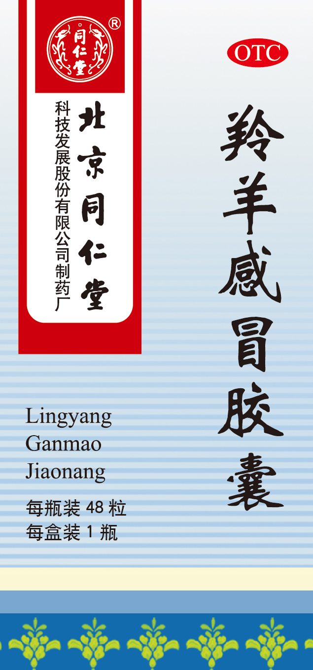 �����˷罺��